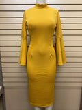 Royal Bell Sleeved Dress