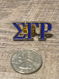 SGRHO PIN